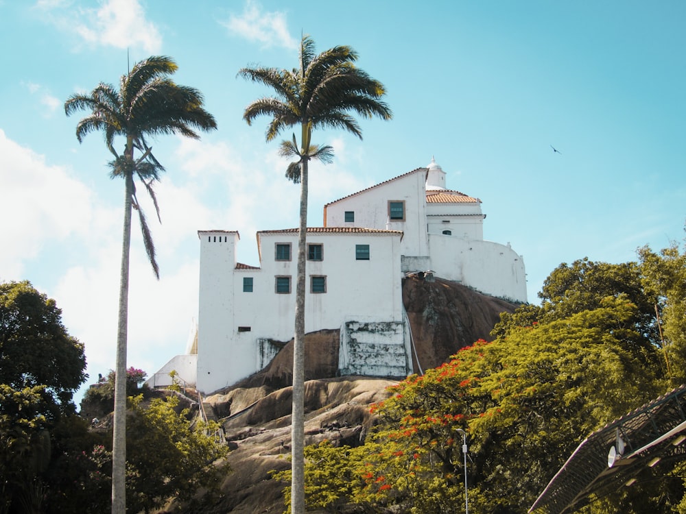 white concrete building near palm tree during daytime