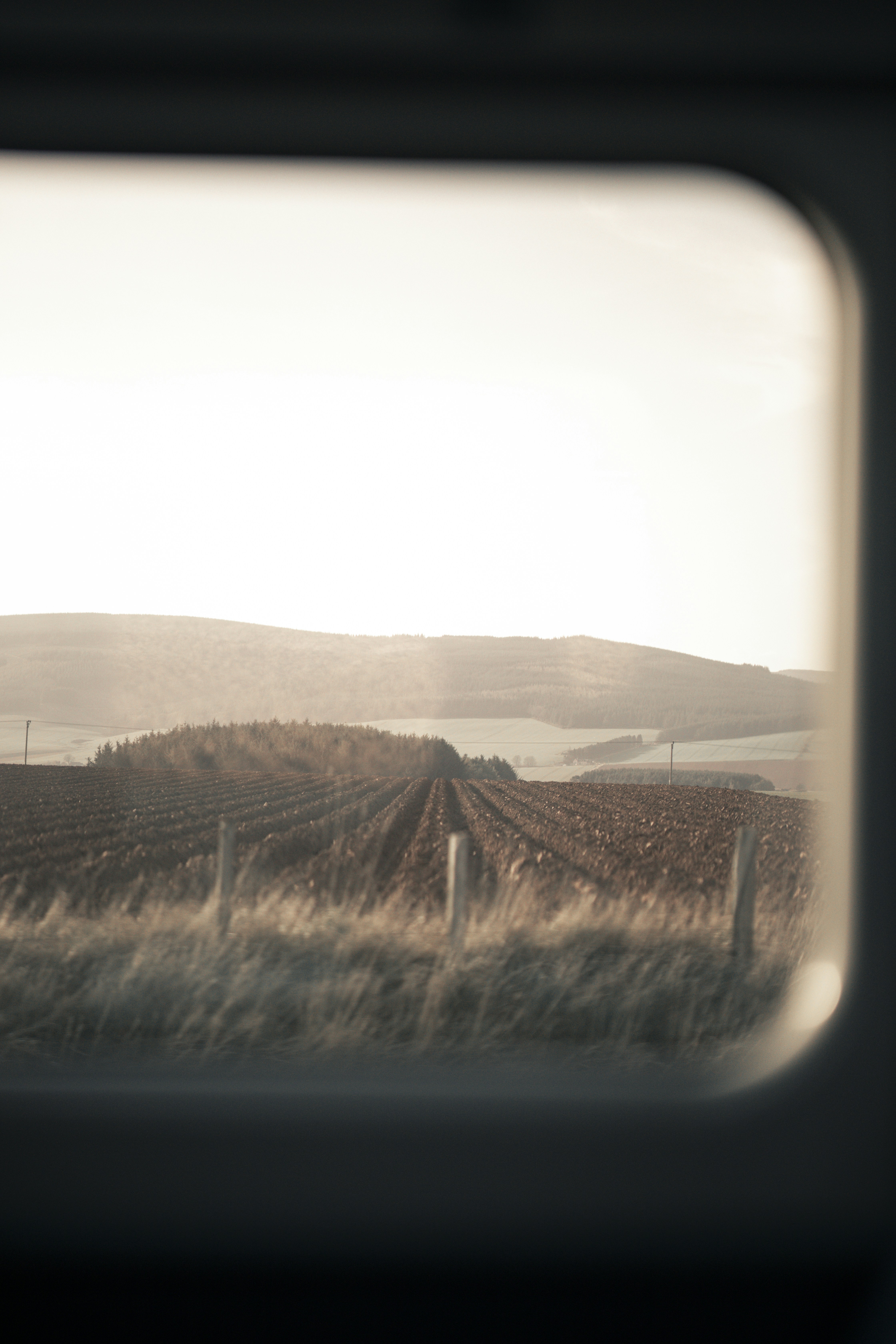 Photo by emilembunzama