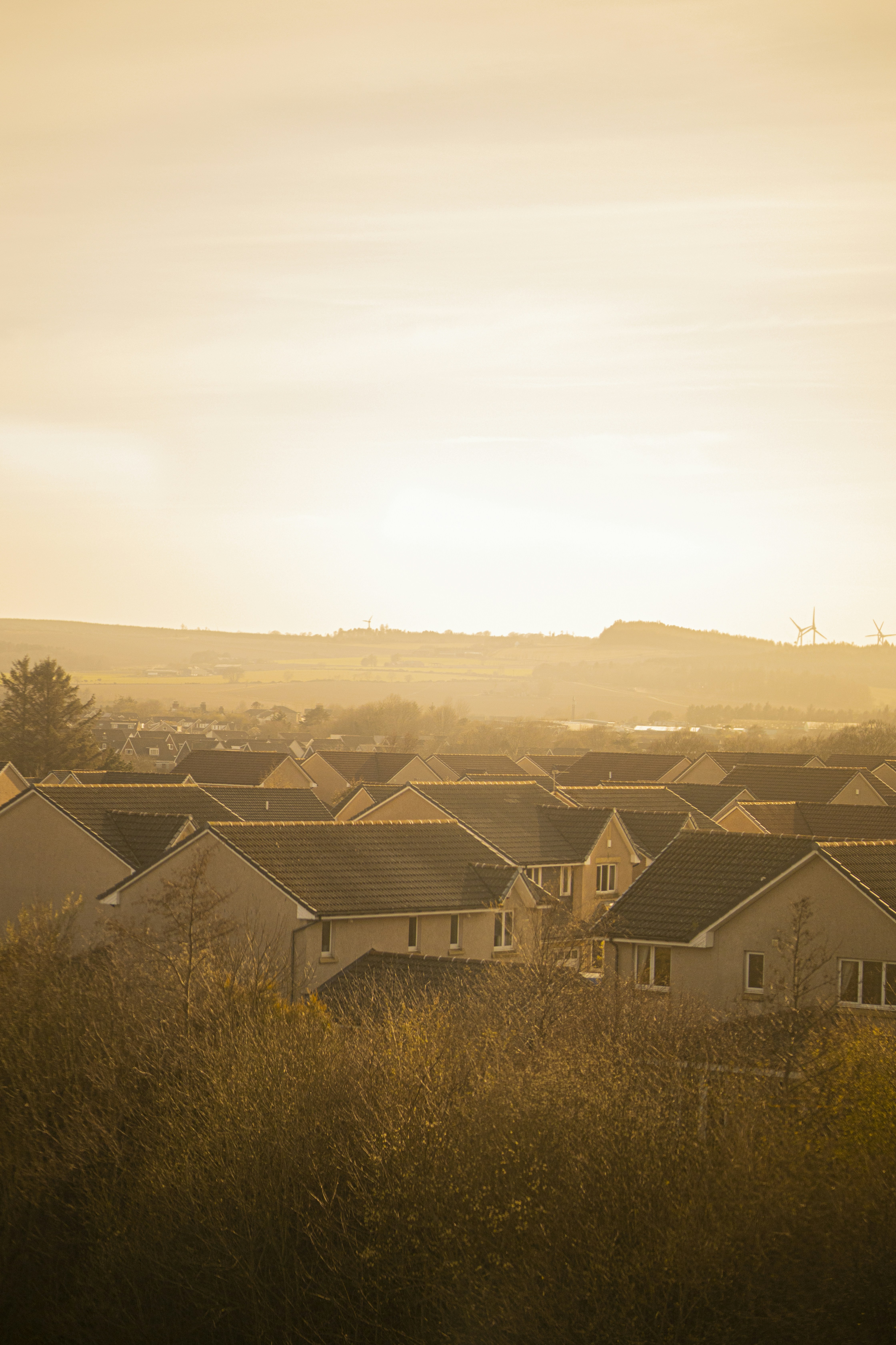 Photo by emilembunzama