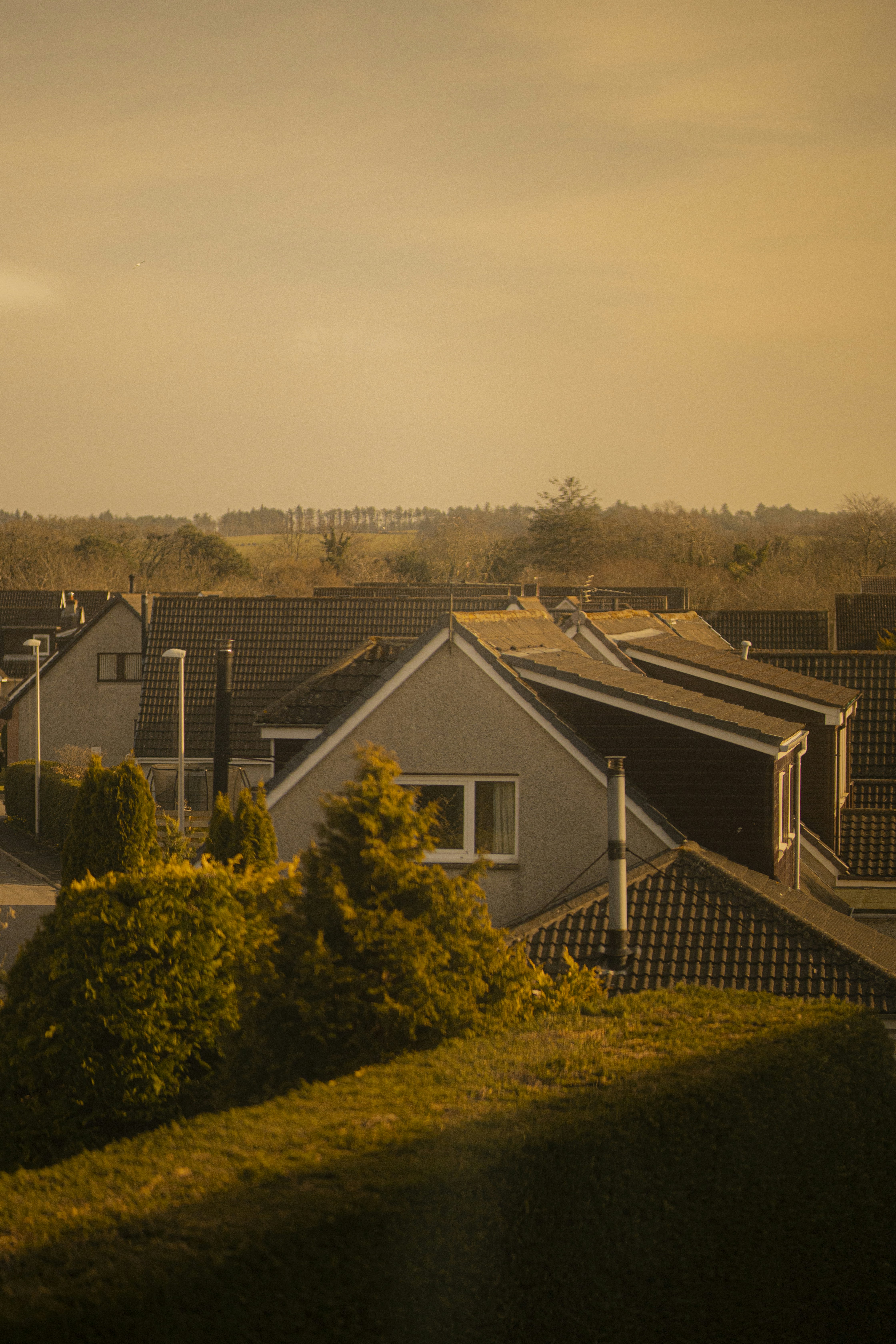 Photo by emilembunzama