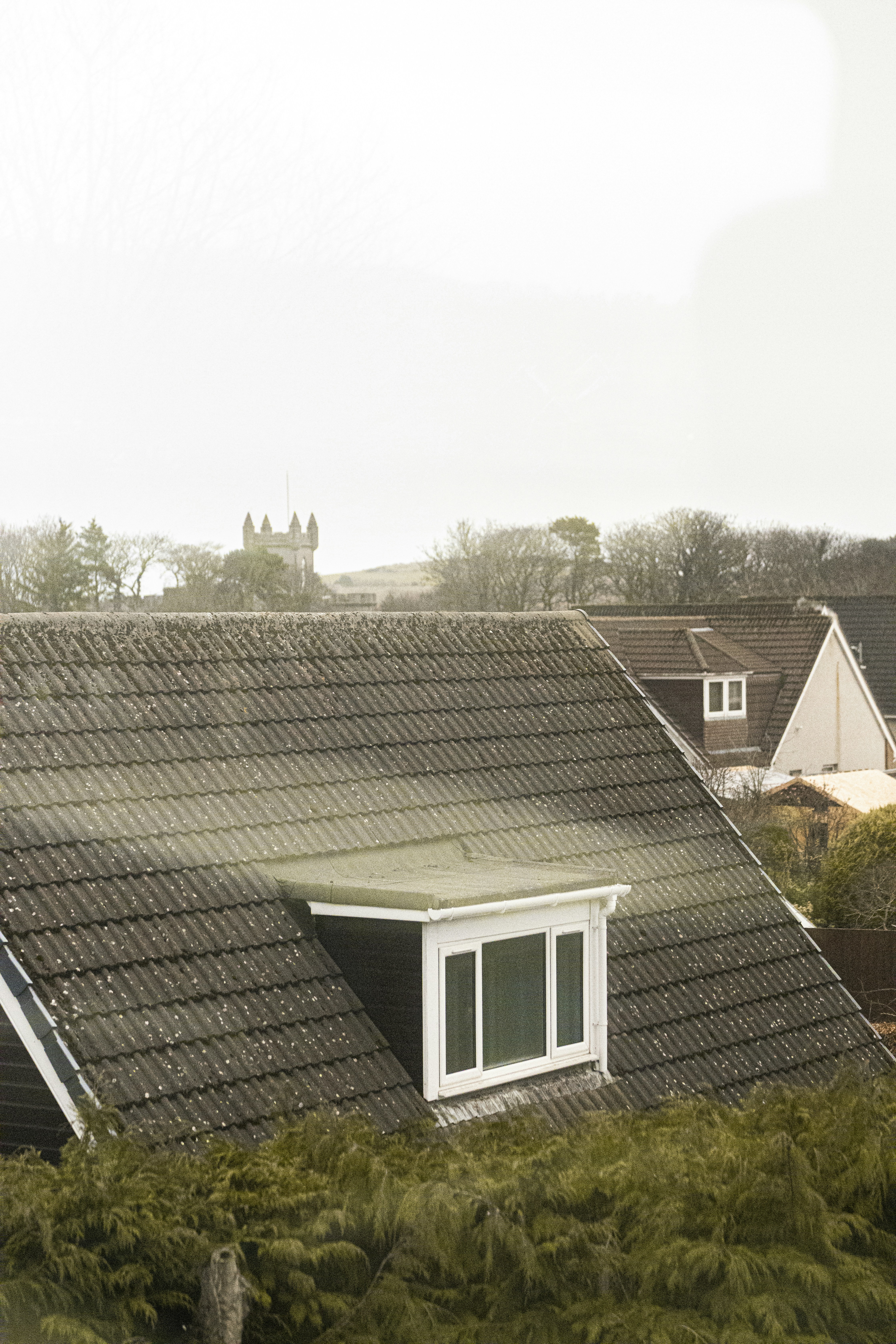 Photo by emilembunzama