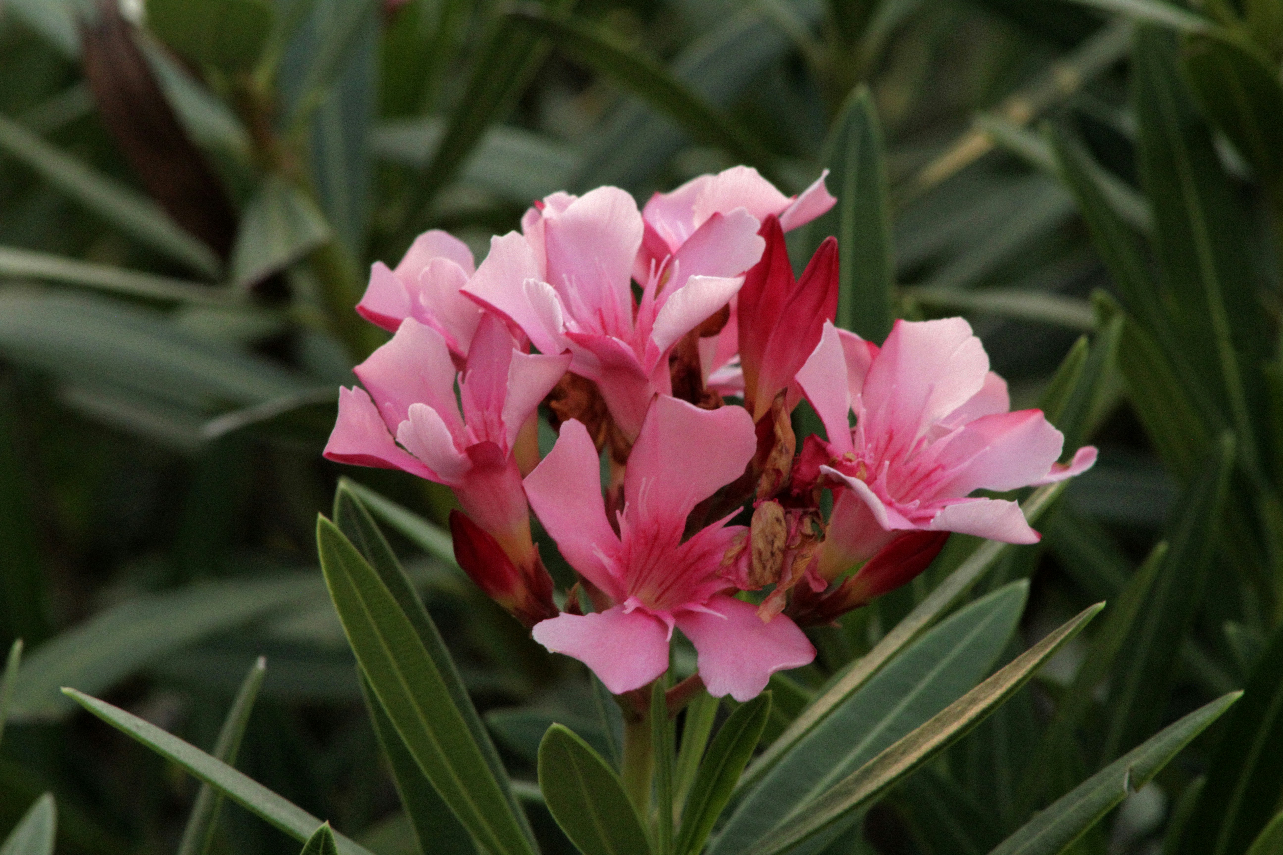 Photo by and_photo06