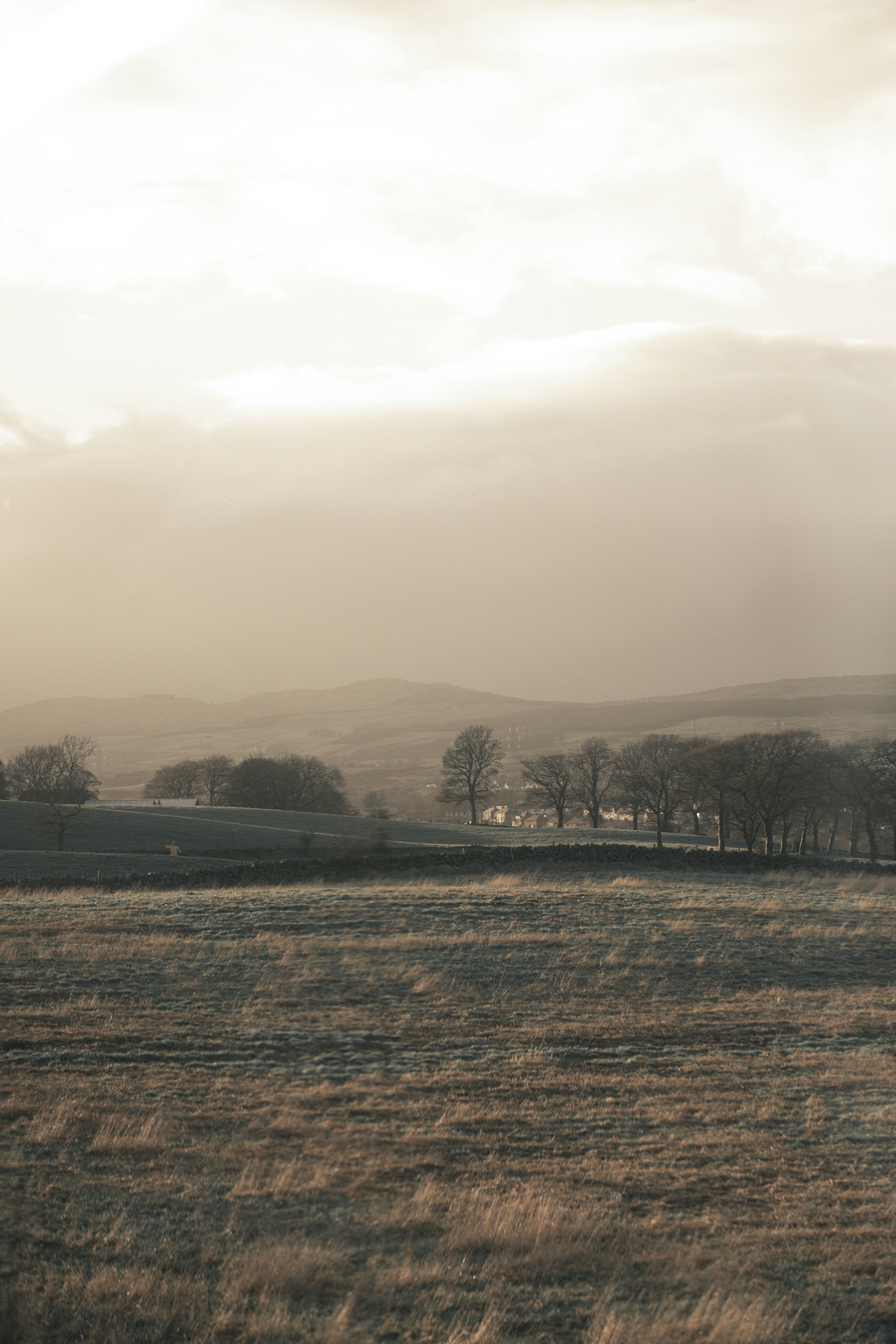 Photo by emilembunzama