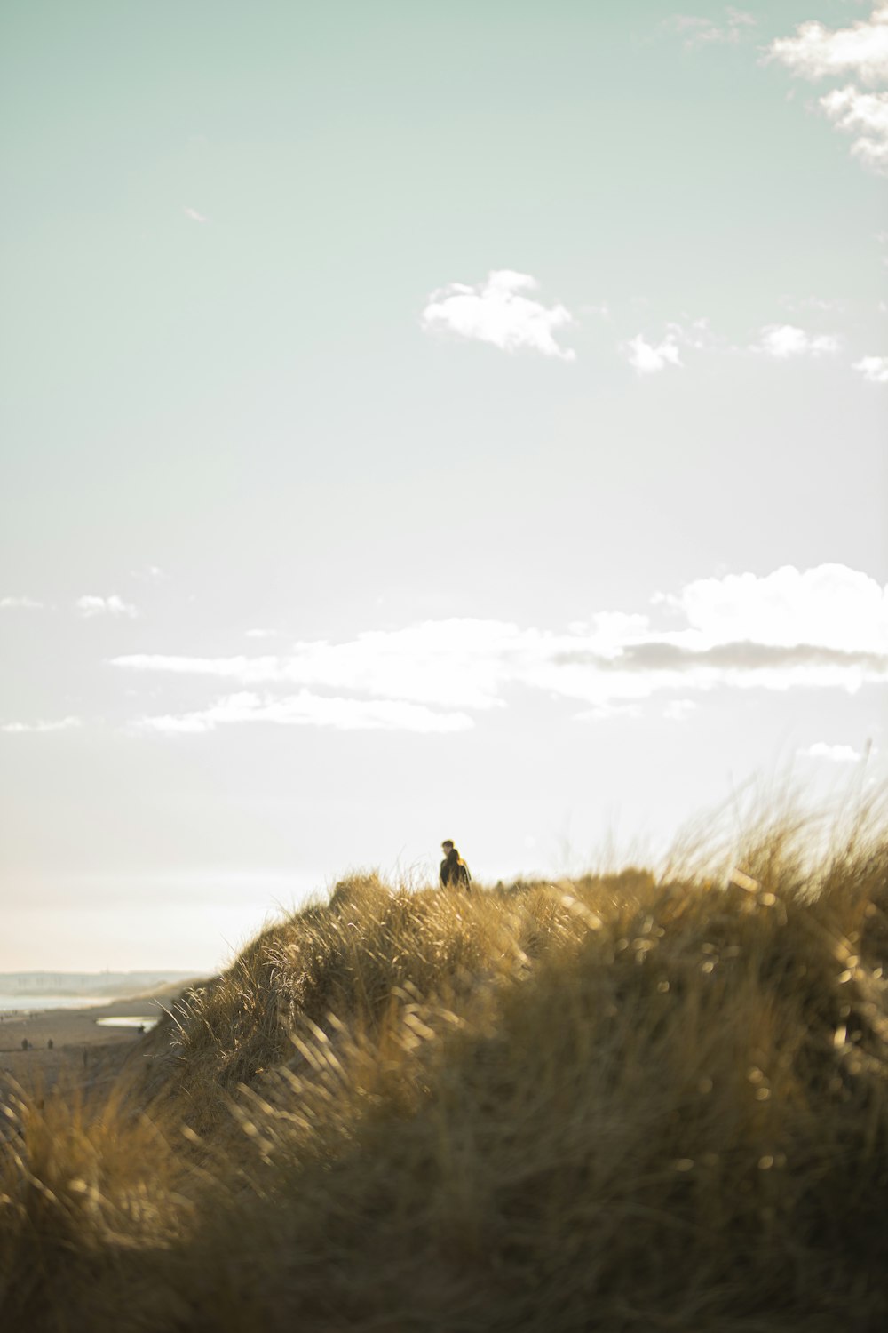 person standing on brown grass field under blue sky during daytime