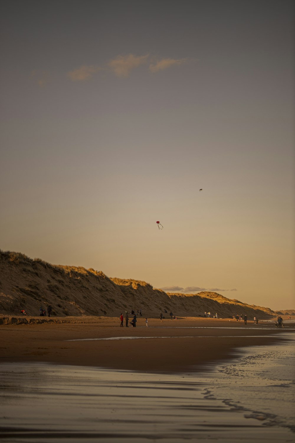 person walking on beach during sunset