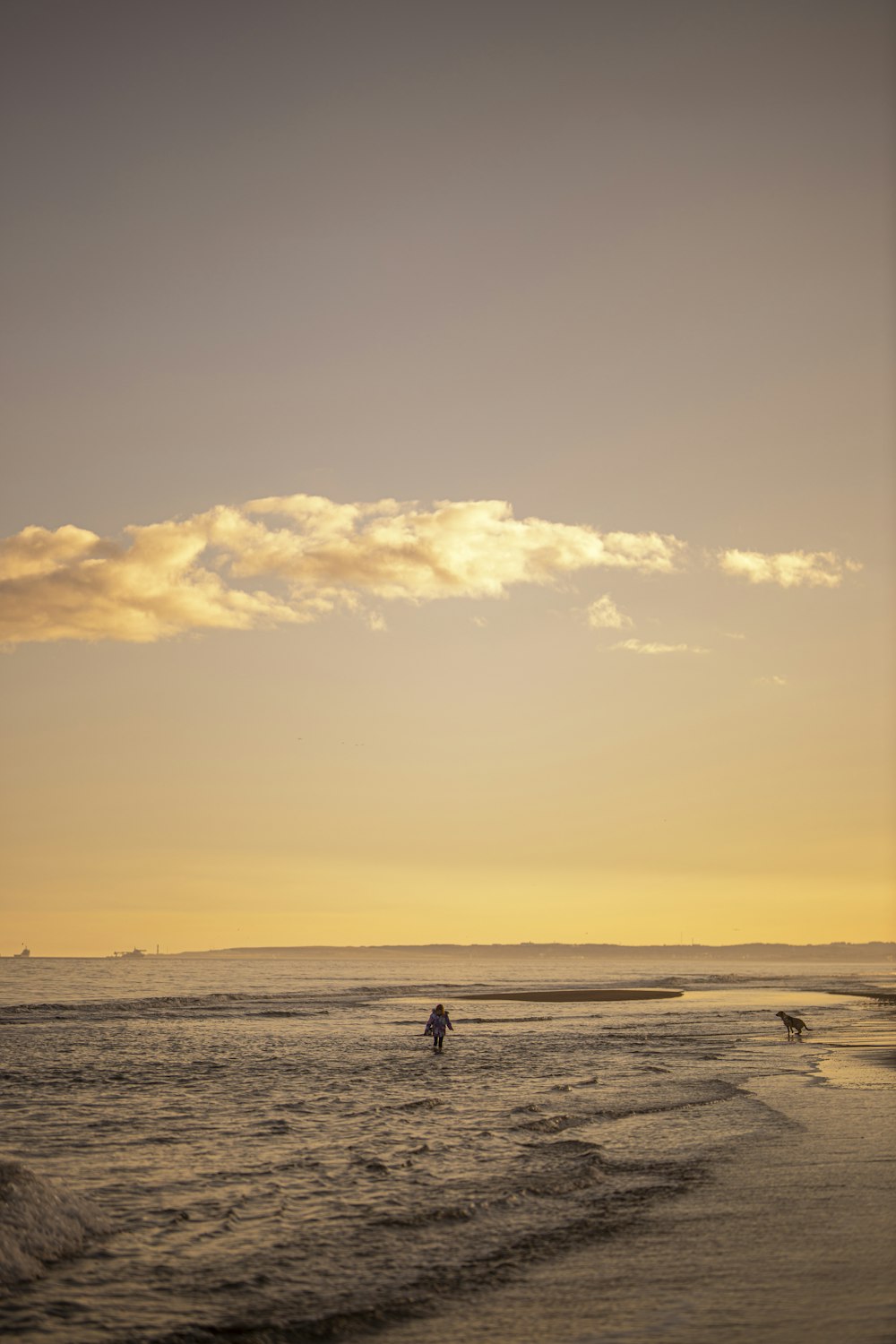 silhouette of 2 people walking on beach during sunset