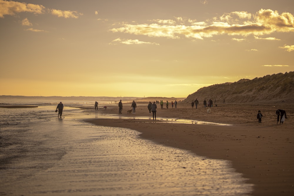 people on beach during sunset