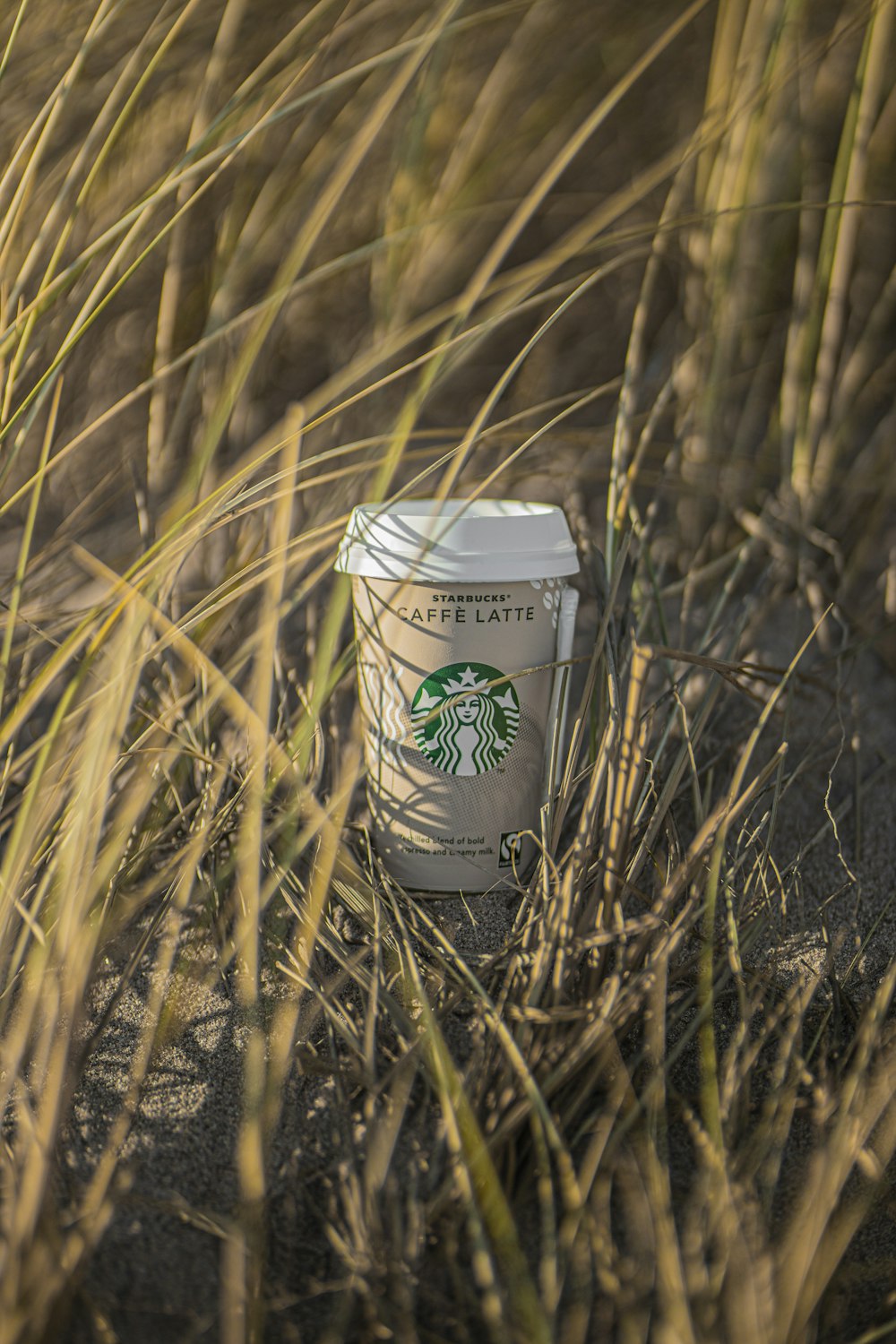 white and green starbucks coffee cup on brown grass