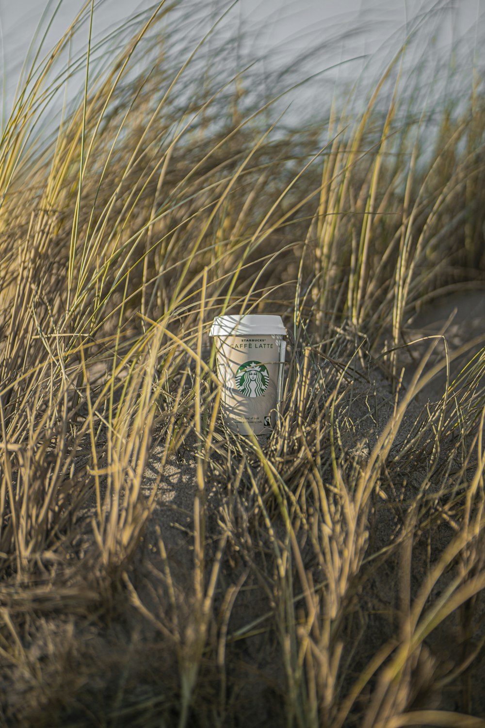 white and green ceramic mug on brown grass