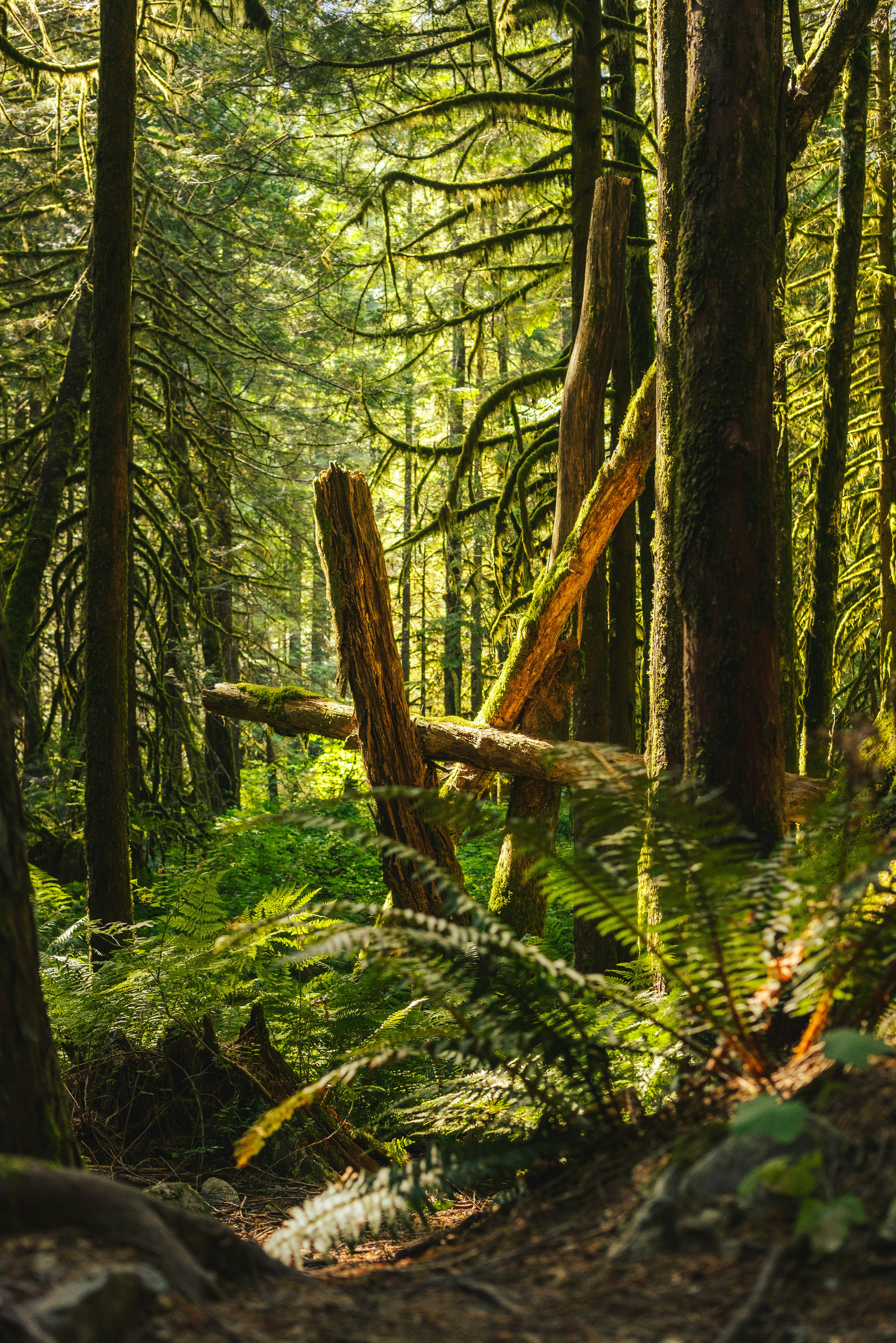 Photo by natwestrose