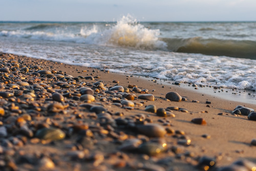 brown and black stones on beach during daytime