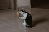 A black and white cat is sitting on a wooden floor, playing with a toy attached to a string. The toy appears to be a small stuffed animal with a yellow leaf-like attachment. The cat is engaging with the toy, using its front paws and mouth.