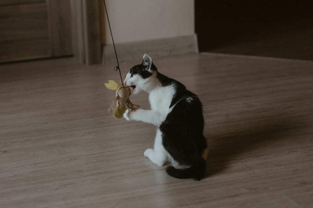 Wooden Cat Toy
