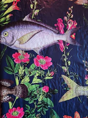 Illustrated pages showing rivers and ocean life in rich detail.