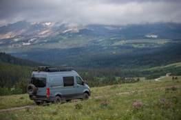 A van driving on an open road surrounded by tall trees, capturing the spirit of freedom and adventure.