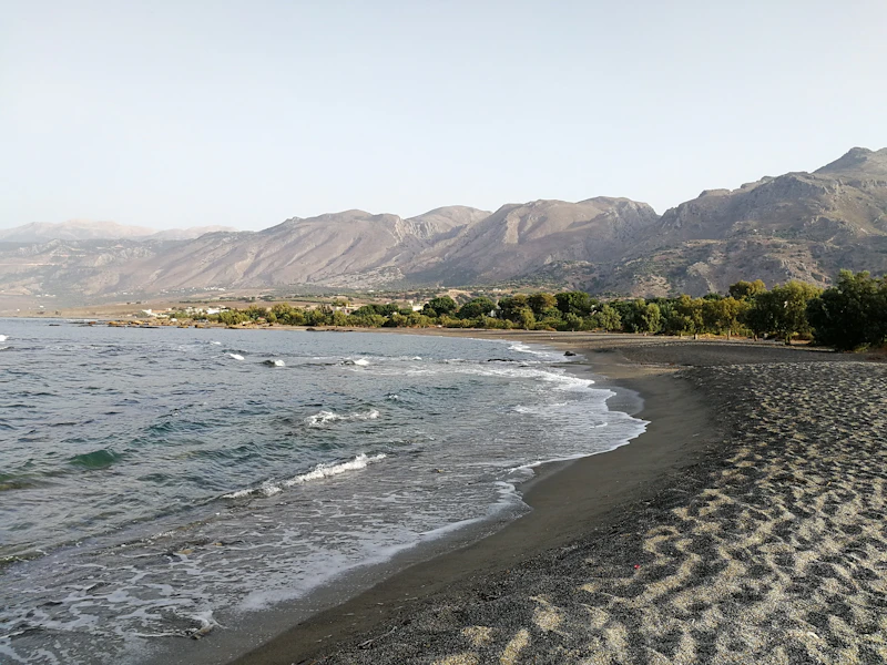 Clear turquoise water and pine trees at a sheltered Paros beach