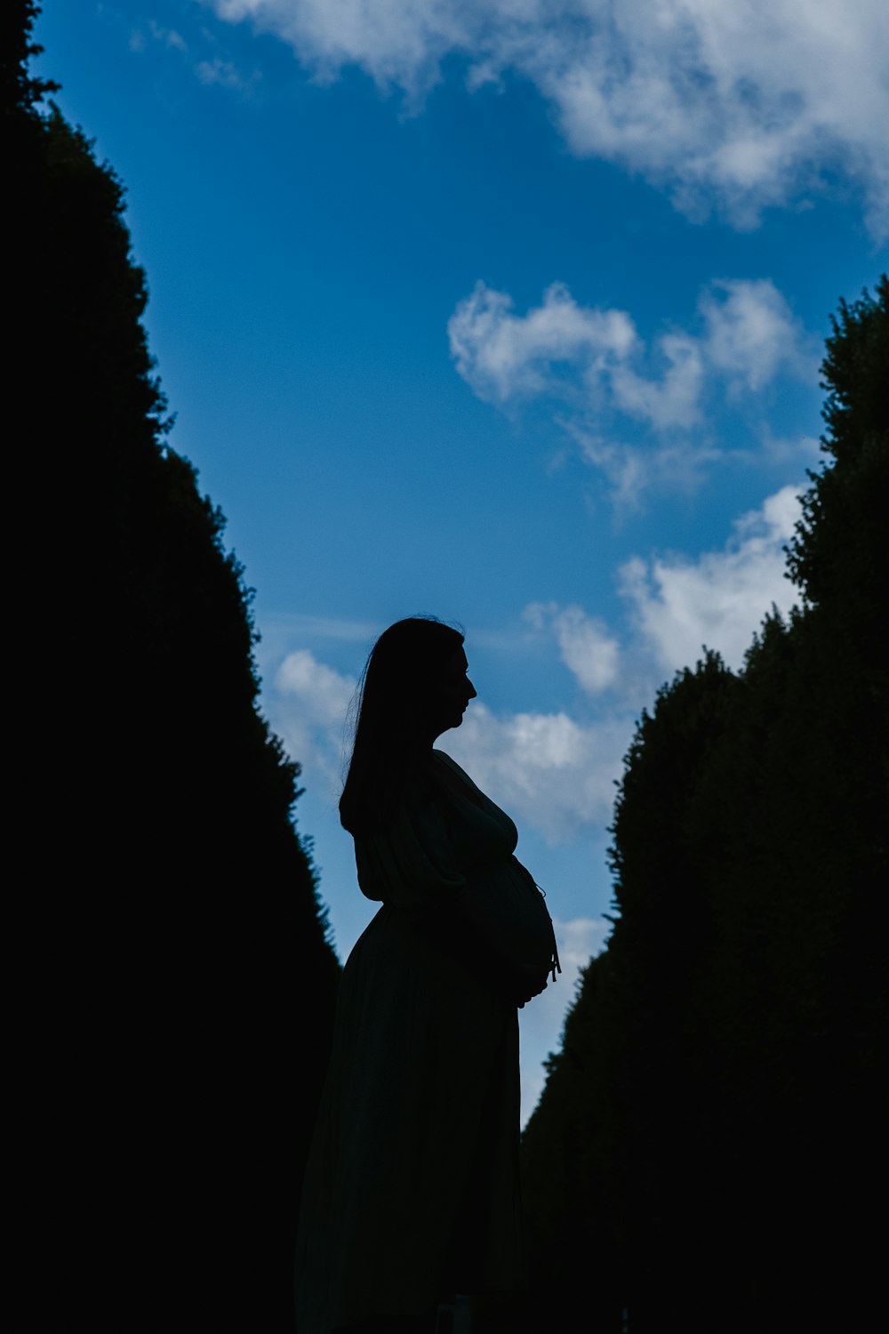 Silhouette einer Frau, die tagsüber unter blauem Himmel steht