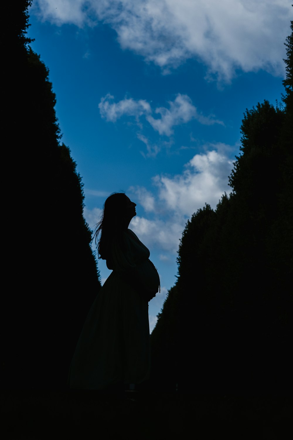 silhouette of woman standing near trees during daytime