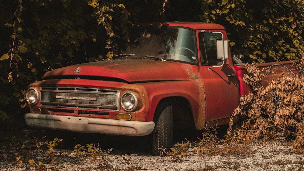 red chevrolet single cab pickup truck parked near green trees during daytime