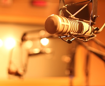 grey microphone on stand in room