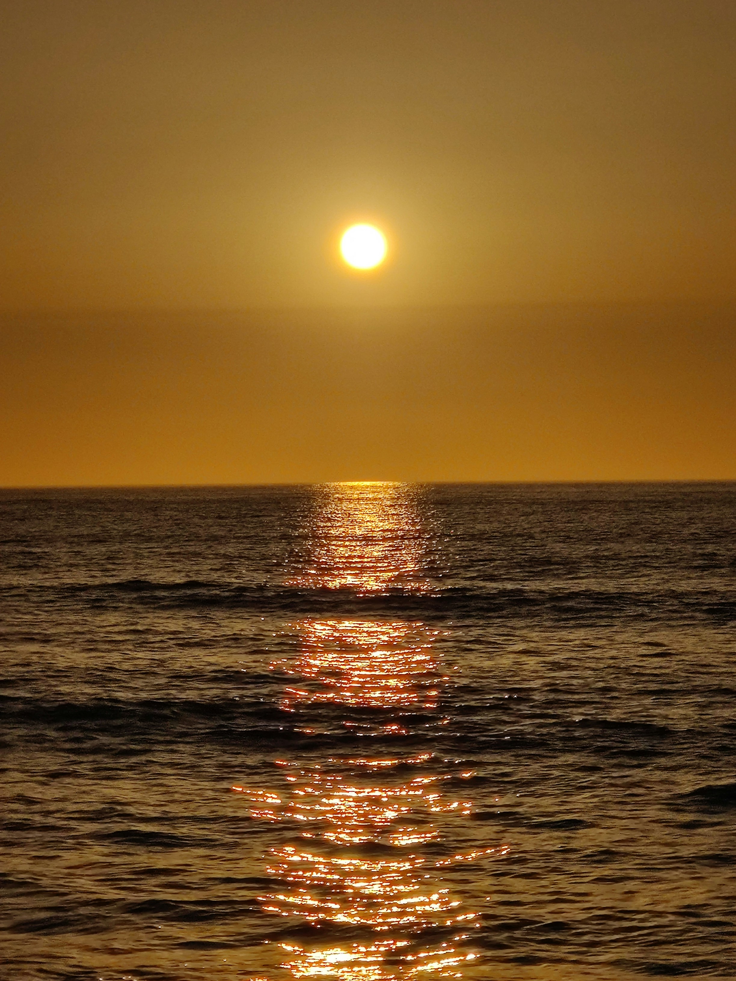 Photo by maheshipatel01