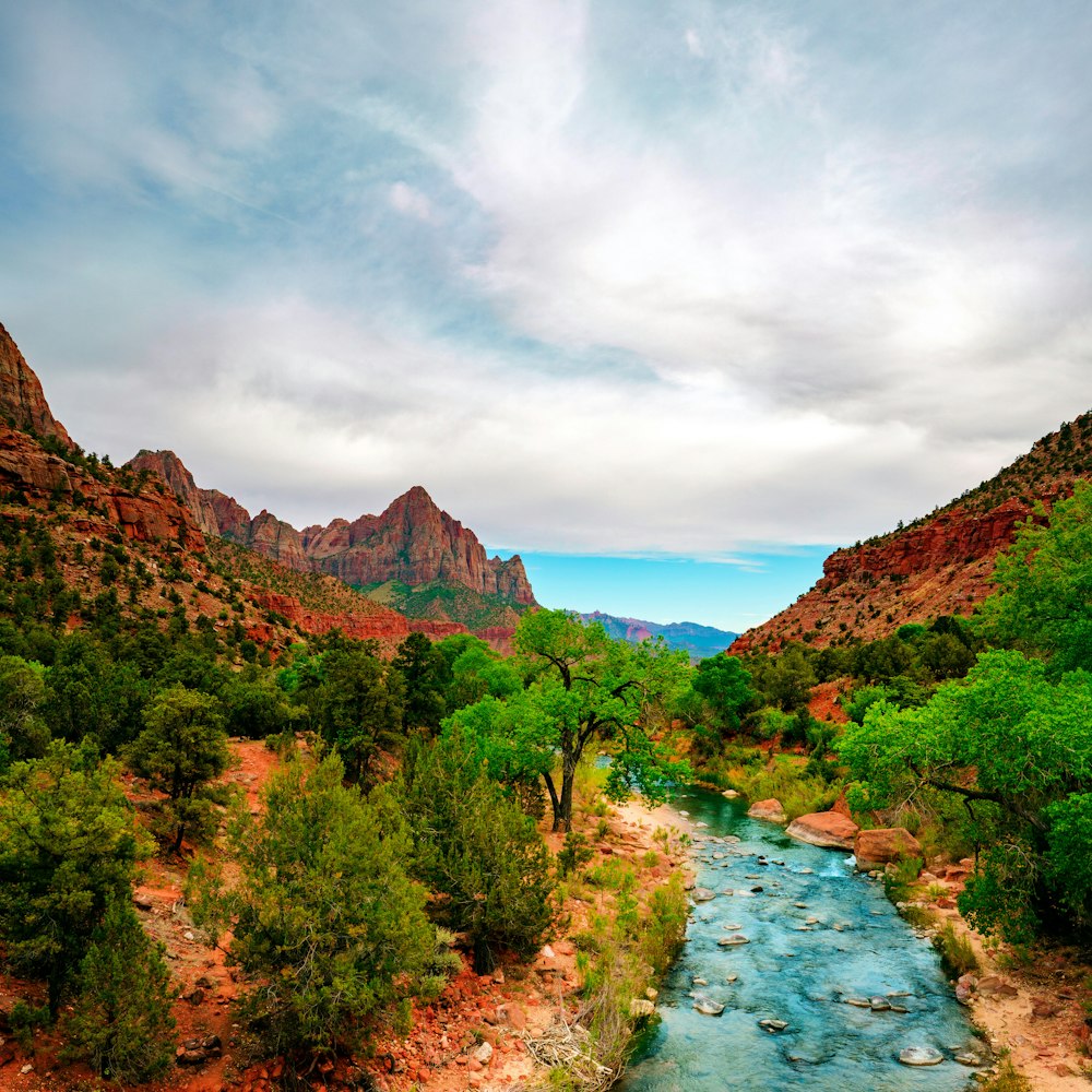 green trees near river under cloudy sky during daytime