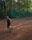 A person playing tennis on a clay court in an outdoor setting surrounded by tall trees. The person is about to hit a bright green tennis ball with a racquet and is wearing a dark sports outfit. A green banner with the word 'Wilson' is visible in the background.