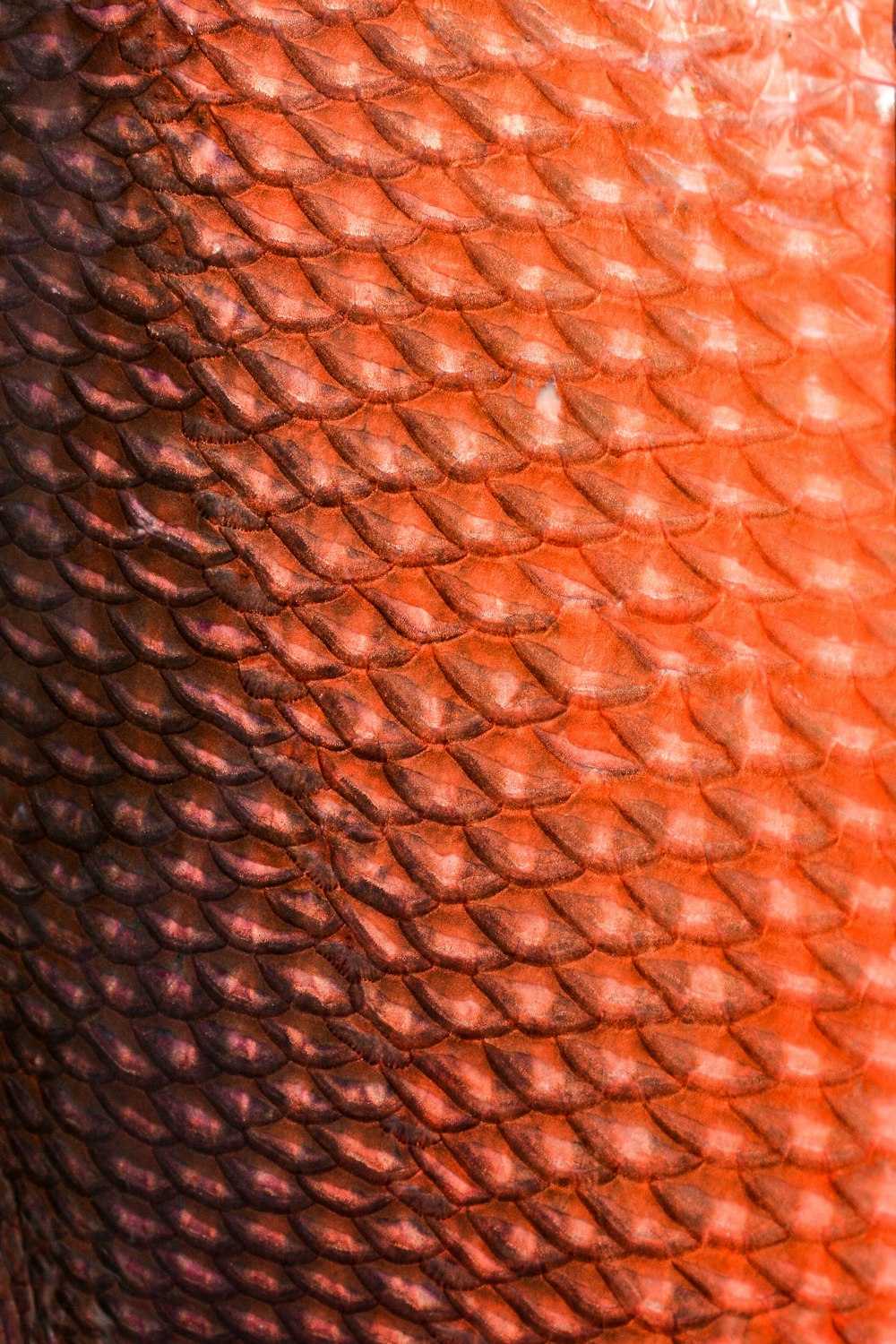 brown and white textile in close up image