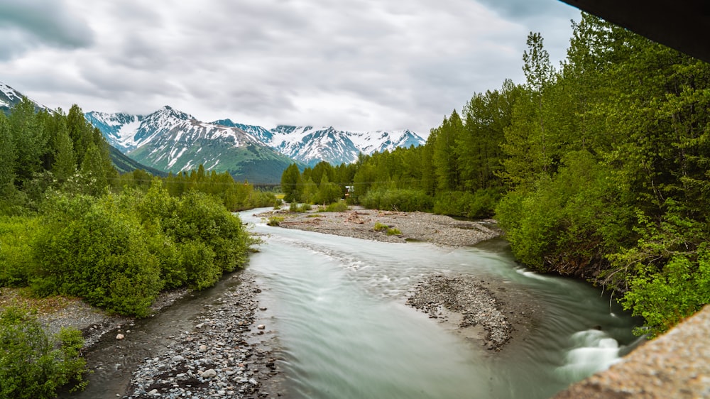 alberi verdi vicino al fiume sotto nuvole bianche durante il giorno