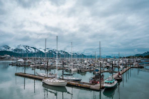 boats on dock under cloudy sky during daytime