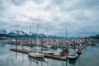 boats on dock under cloudy sky during daytime