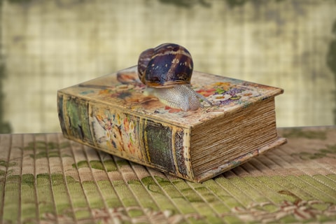 El Libro Mágico y la Importancia de la Imaginación