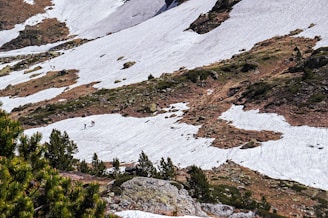green trees on snow covered mountain during daytime