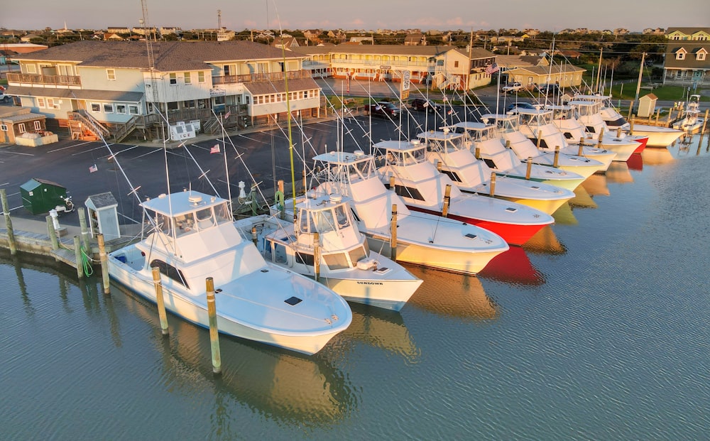 white and blue boats on water during daytime