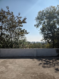Before-and-after photo showing a lifted and leveled patio slab in a Citrus Springs backyard.