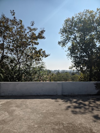 A concrete patio is in the foreground with shadows from two large trees flanking each side. Beyond the low wall, dense green foliage extends into the distance under a clear blue sky.