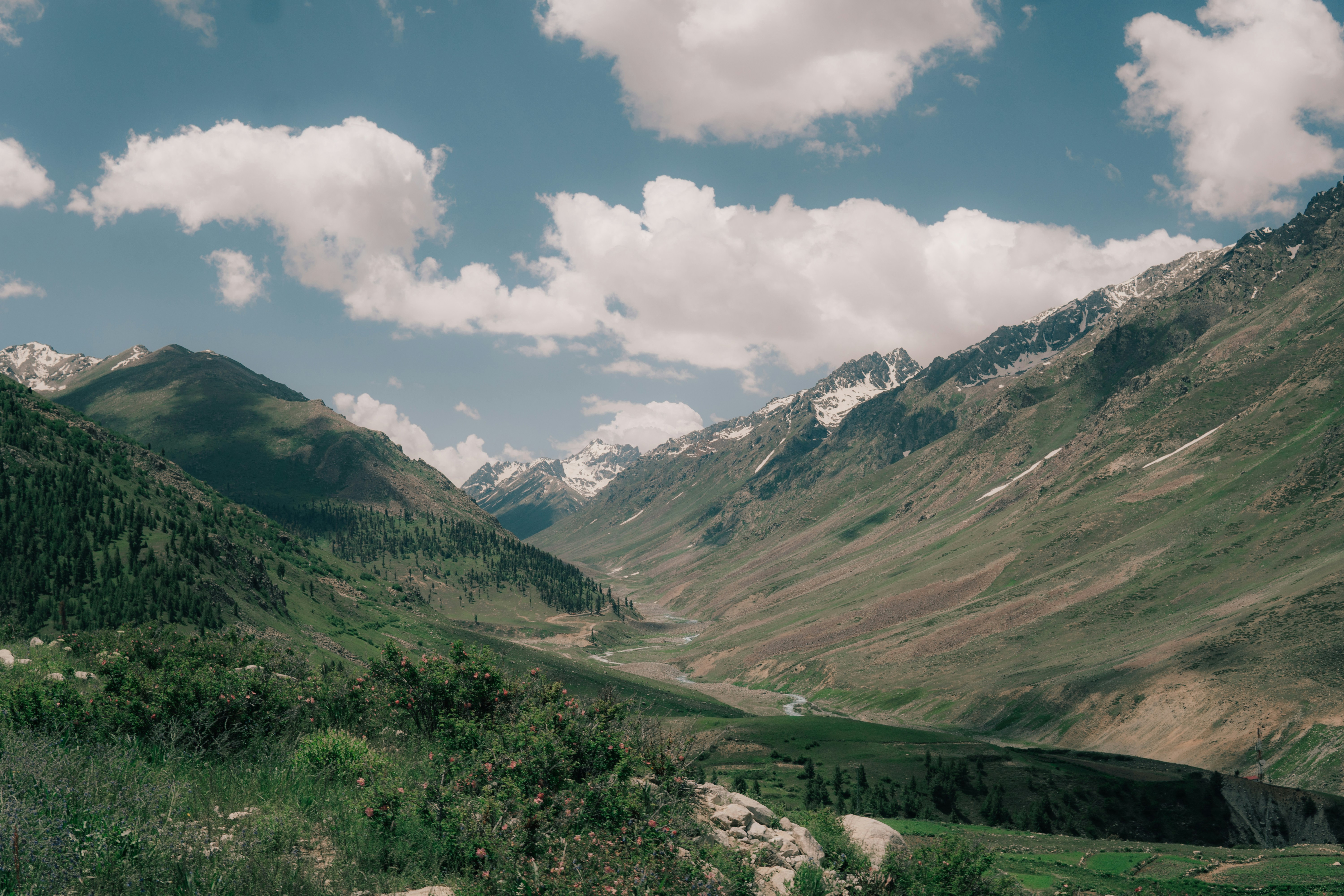 Photo by abdullah_photography