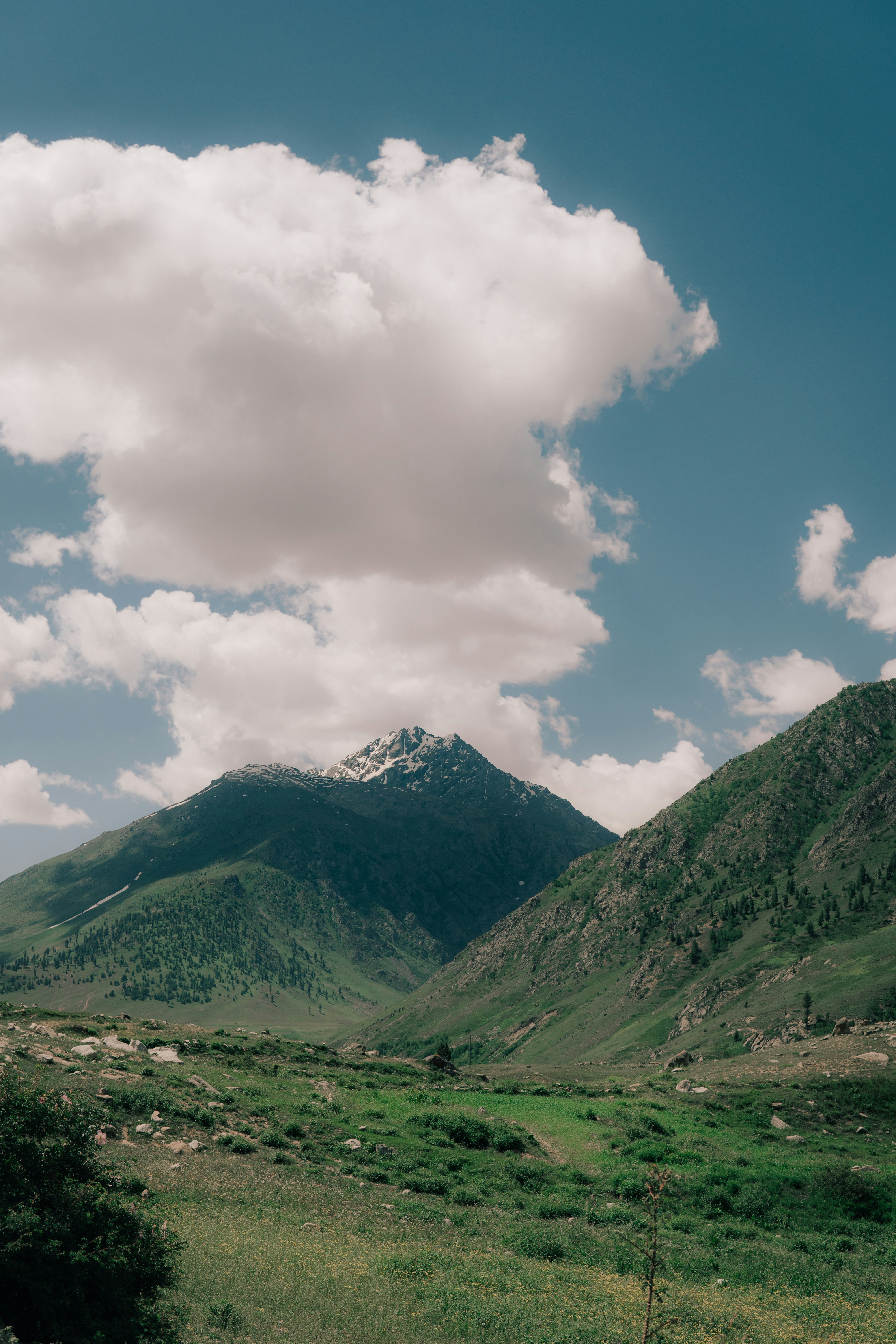 Photo by abdullah_photography