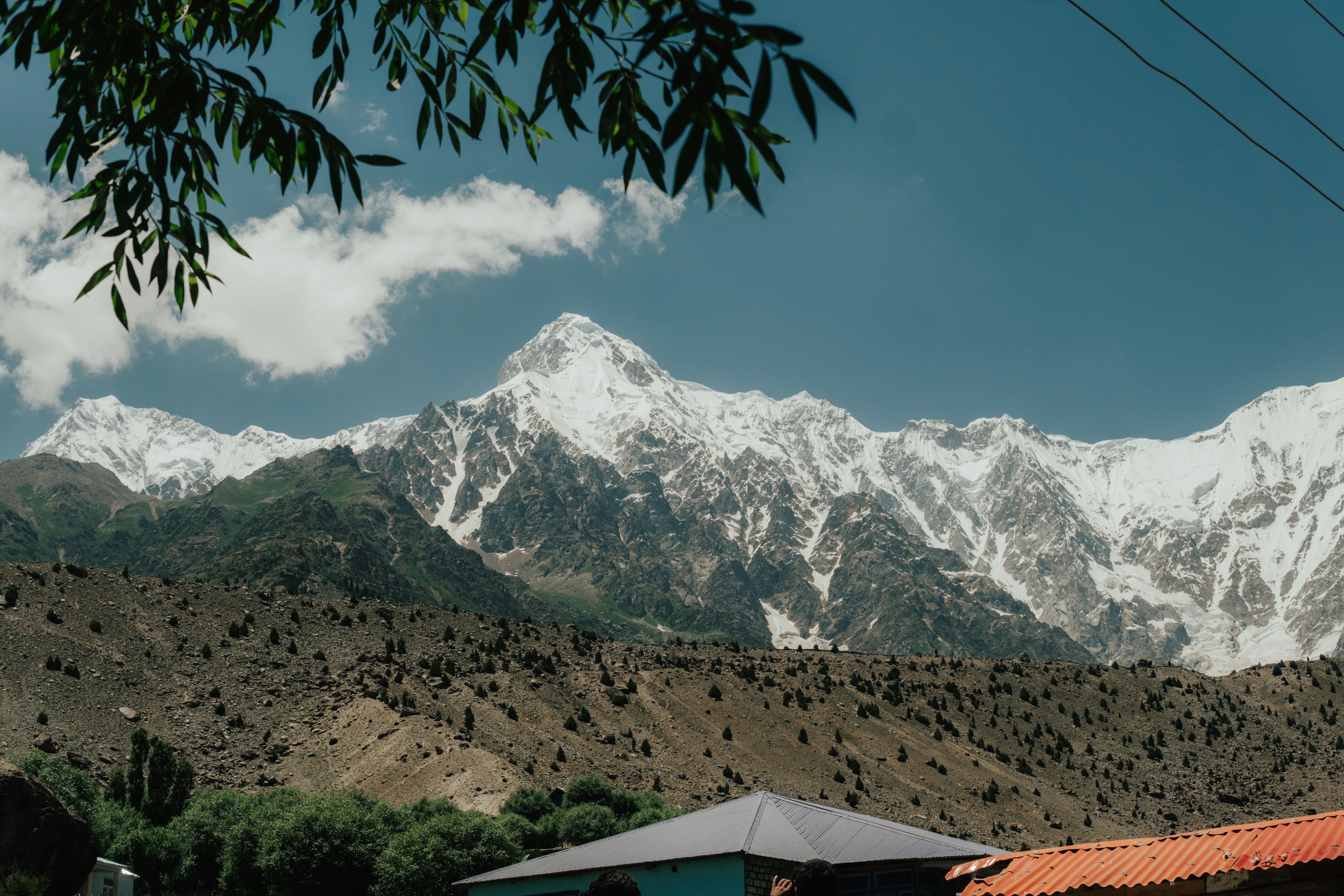 green palm tree near mountain under blue sky during daytime, 