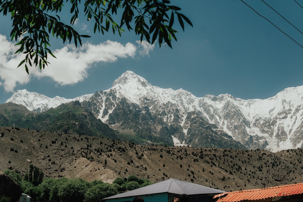 green palm tree near mountain under blue sky during daytime