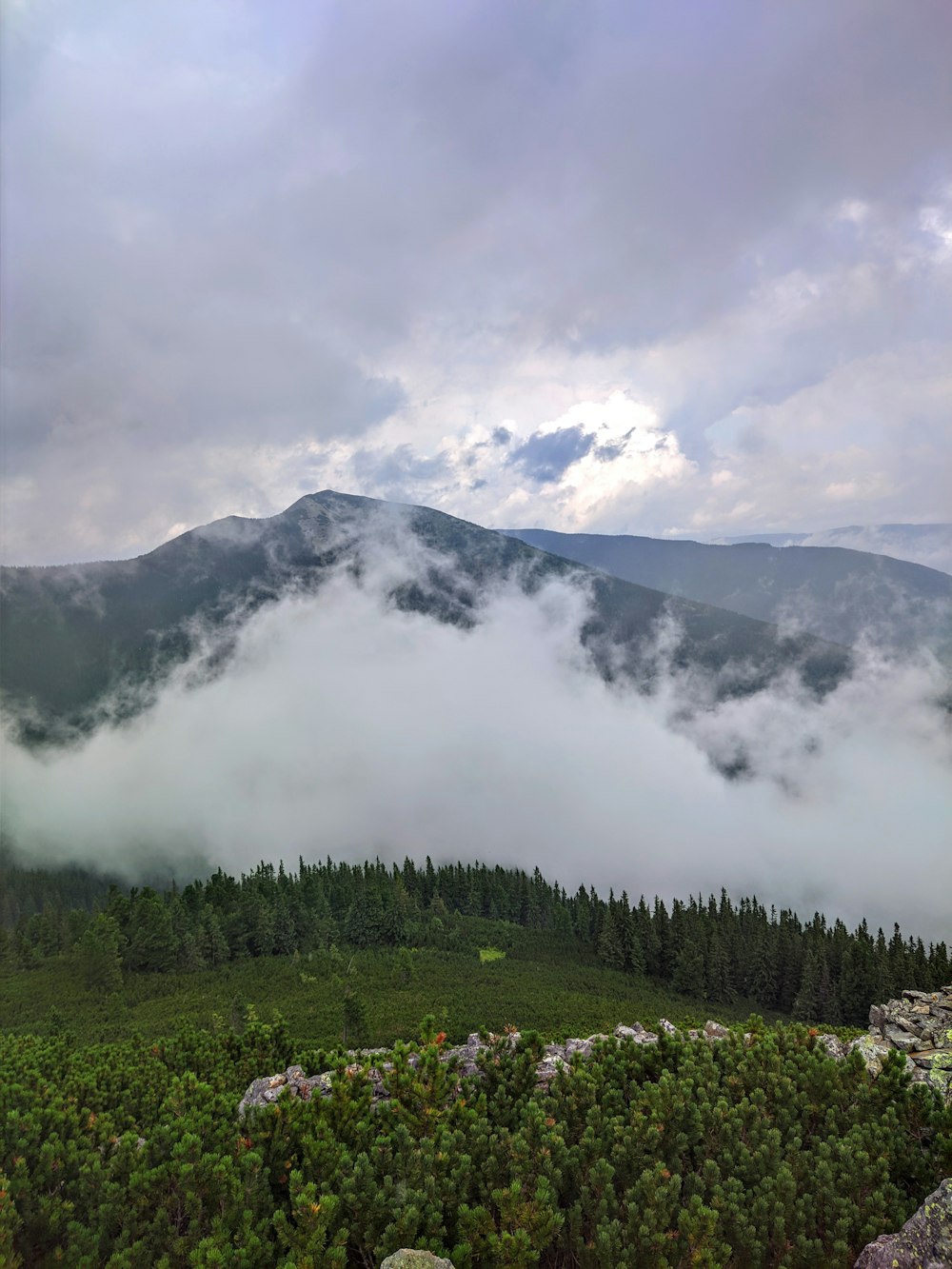 Grüne Bäume auf dem Berg tagsüber unter weißen Wolken