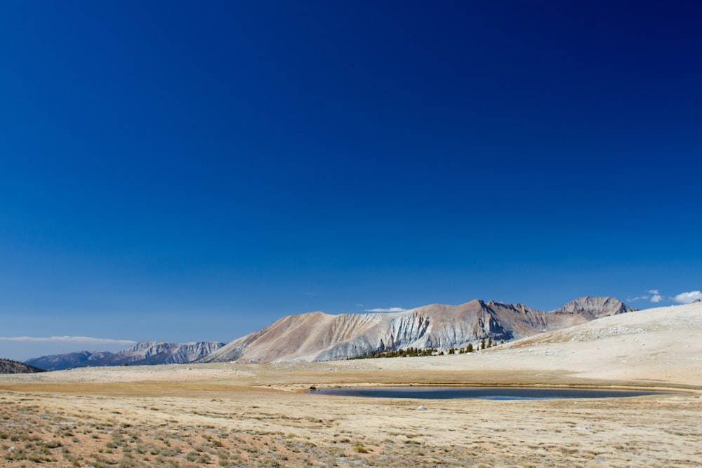 campo di sabbia marrone sotto il cielo blu durante il giorno