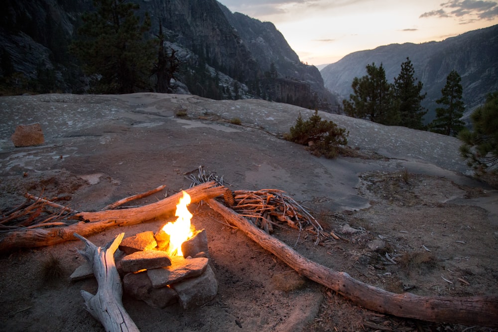 burning wood on brown soil