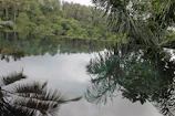 A tranquil infinity pool reflecting the deep green jungle canopy at dusk.