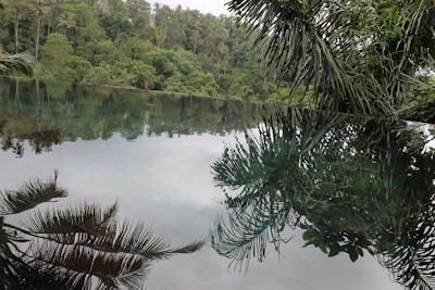 A serene infinity pool blending seamlessly into a lush tropical garden at a private villa.