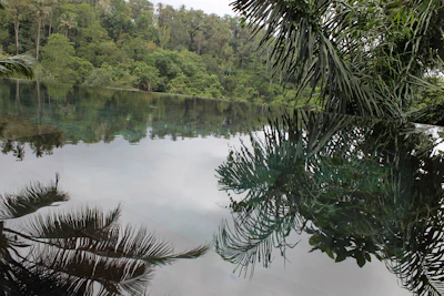 A tranquil infinity pool reflecting the deep earthy browns and muted sage greens of the surrounding landscape.