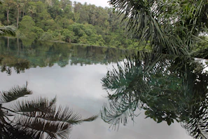 An elegant infinity pool overlooking a lush tropical rainforest with mist rolling over the trees.
