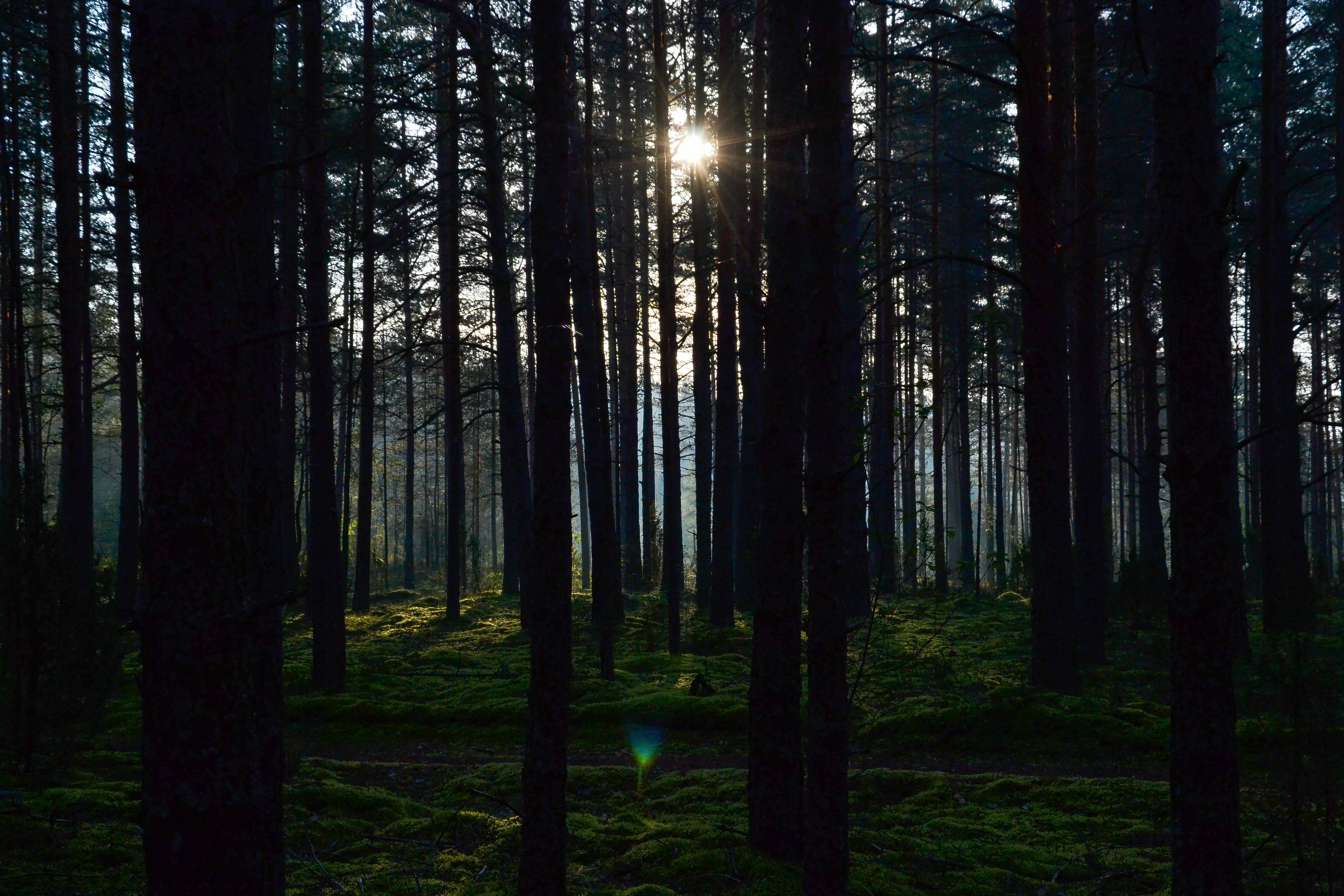 Photo by filedoesnotexist