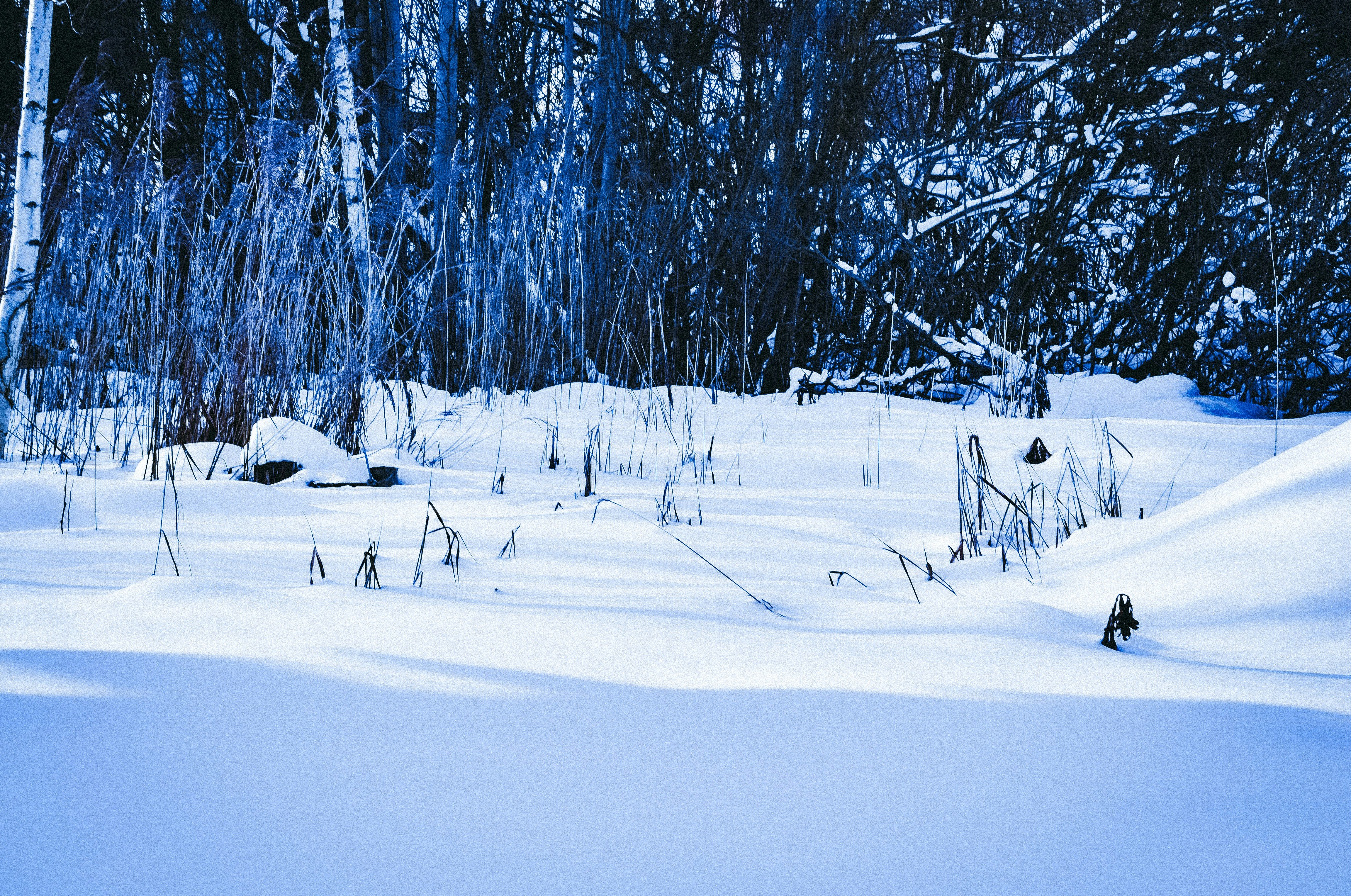 Photo by filedoesnotexist