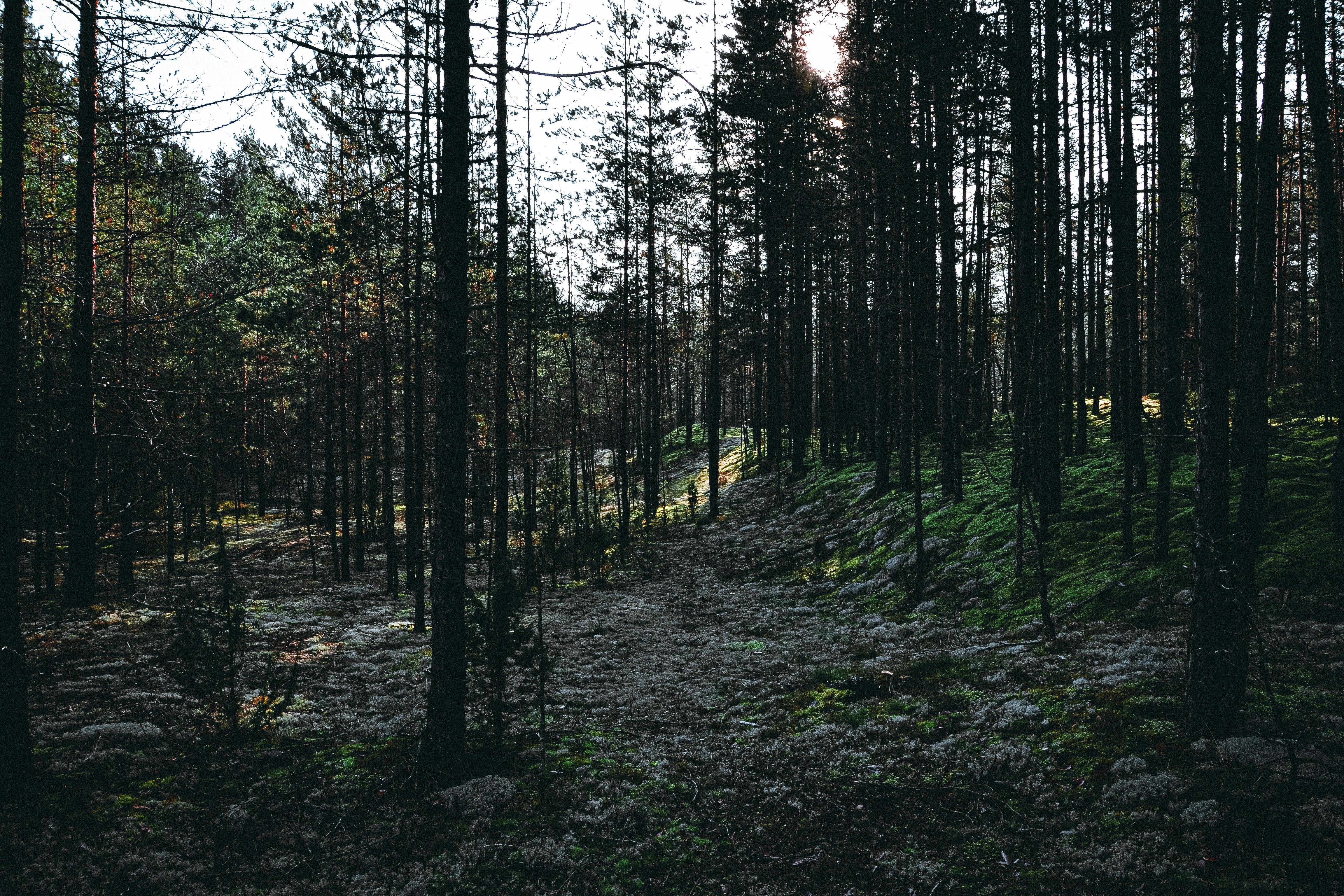 Photo by filedoesnotexist